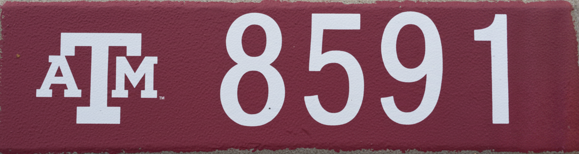 Texas A&M Aggies curb painting design