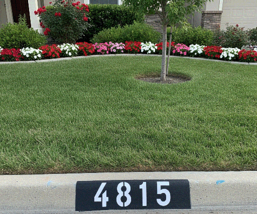 Professionally painted reflective address numbers on a curb