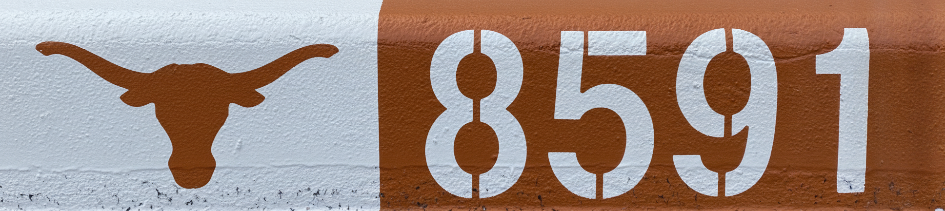Texas Longhorns curb painting design